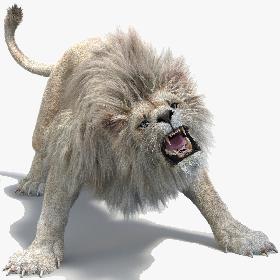 3D model White Lion (2) (Fur)(Animated)